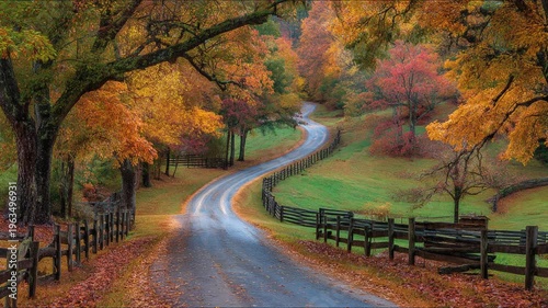 Winding road through autumnal forest with colorful foliage and scenic landscape