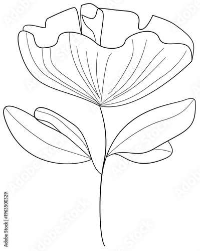 Floral Doodle Clipart for Worksheets Hand Drawn Flowers