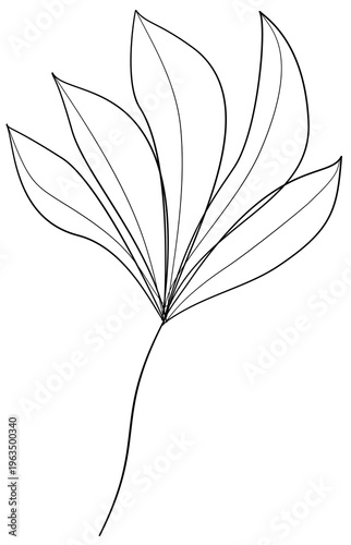 Floral Doodle Clipart for Worksheets Hand Drawn Flowers