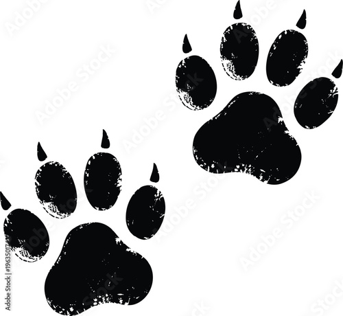 Animal paw print silhouettes with claw marks in grunge style representing wildlife tracks pet footprints and nature themed design elements