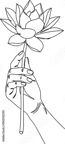 hands holding lotus flower line art style