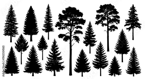 Trees black silhouettes set with various pine and conifer shapes and sizes for landscape design, illustration and graphic resources