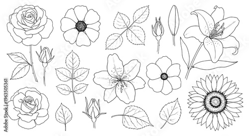 Flowers line drawn set with black outlines and leaves, featuring roses, sunflowers, lilies, and blossoms.