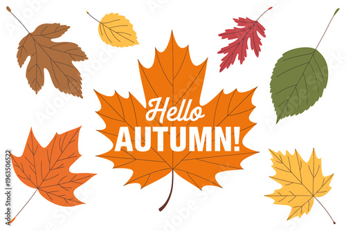 Colorful autumn leaves with hello autumn text on white background