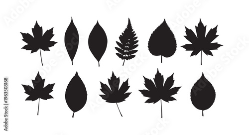 Collection of various leaf silhouettes