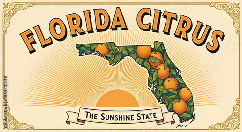 Vintage Florida Citrus travel postcard vector, retro Sunshine State map with oranges and sunburst, antique fruit crate label illustration