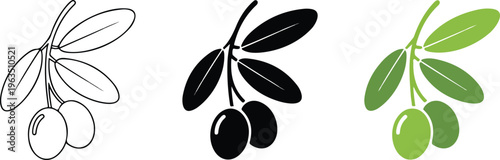 Set of minimalist olive branch icons in outline silhouette and colorful green flat vector styles for organic design.