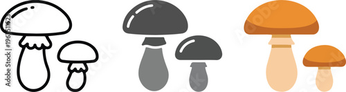 Set of stylized mushroom icons in minimalist outline silhouette and colorful flat vector styles for forest nature design.
