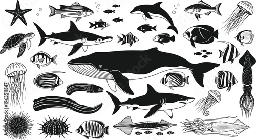 Marine animal silhouettes, ocean life diversity, whale shark dolphin artwork, sea creatures illustration, black and white design, aquatic ecosystem representation