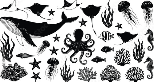 Sea Life Silhouette Vector Collection with Whale, Octopus, Jellyfish, Seahorse, Stingray, Coral Reef, Starfish, and Ocean Animals for Marine Biology,