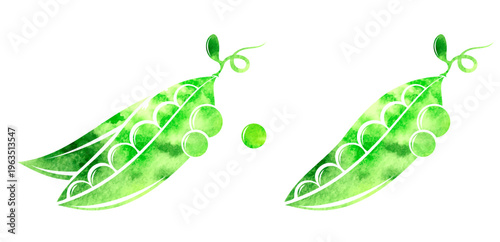 Peas. Colorful vector isolated decoration element. 