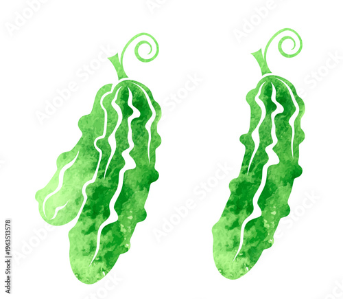 Cucumbers. Colorful vector isolated decoration element. 