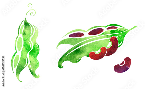 Beans. Colorful vector isolated decoration element. 