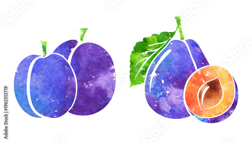 Plum. Colorful vector isolated decoration element. 