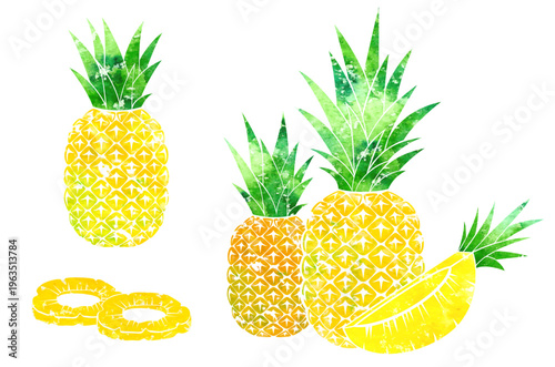 Pineapple with slices. Colorful vector isolated decoration element. 
