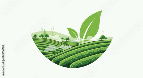 Lush green rolling hills covered in tea plants, with stylized leaves and mist