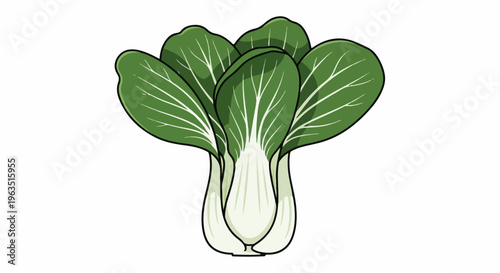 Green leafy vegetable with white stems, illustrated