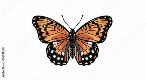 Illustration of a monarch butterfly with orange and black wings