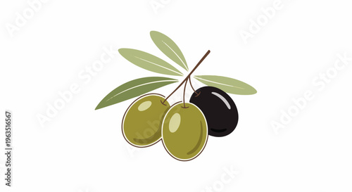 Fresh olives on a stem with leaves