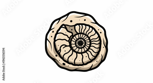 Illustration of a stylized ancient fossil shell with a coiled pattern