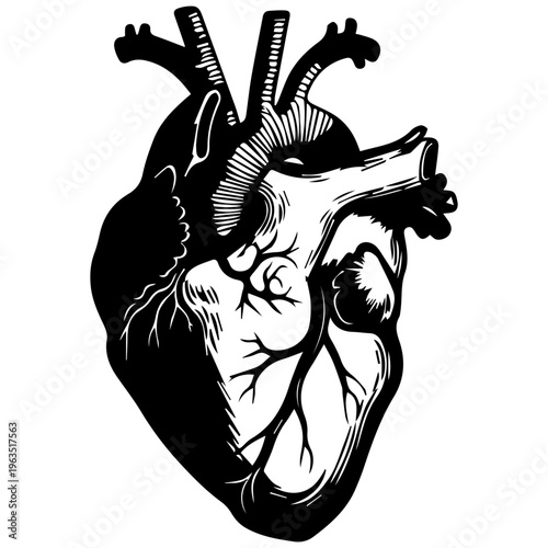 Anatomical heart illustration, black and white medical symbol