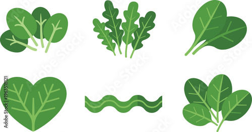 Green leafy vegetables set with spinach, herbs and salad leaves, flat cartoon organic food collection isolated for healthy nutrition and eco design