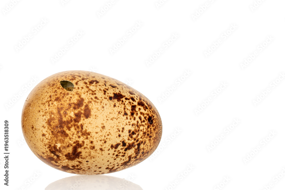 Fototapeta premium Quail eggs isolated on white background, close-up.