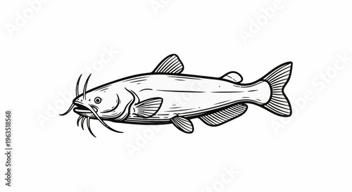 Hand-drawn outline illustration of a catfish with prominent barbels