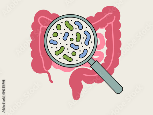Magnified view of colorful bacteria and microbes within the human digestive system