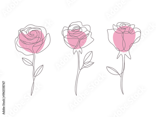 Minimalist line roses with soft pink circles a white background flower