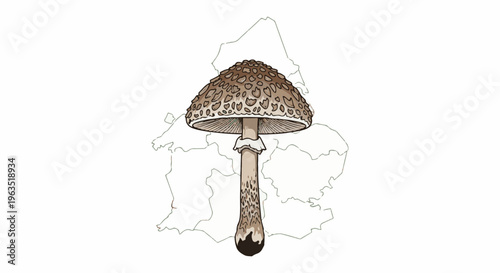 Large mushroom with spotted cap on abstract background