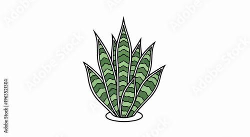 Green plant with pointed leaves in a pot