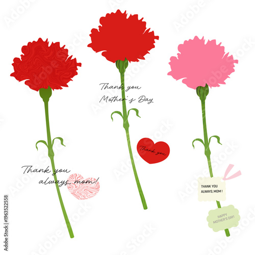 母の日のためのカーネーションのイラスト　３種類　フラットなベクターイラスト