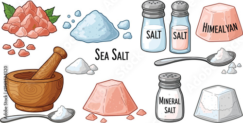 Salt Collection Featuring Sea Salt, Himalayan Salt, Mineral Salt, and Salt Containers for Culinary and Wellness Designs