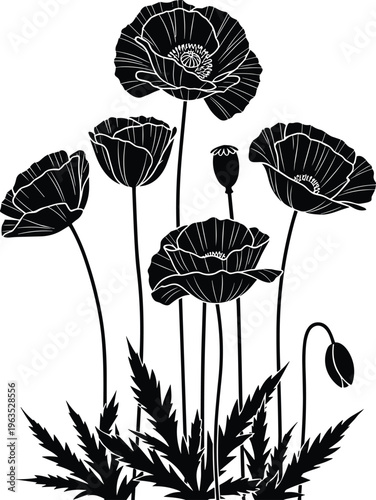 Black poppy flower silhouette illustration, blooming poppies plant vector, botanical floral line art, wildflower garden drawing, isolated on white background