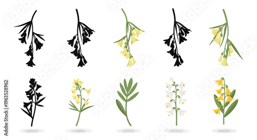 Dutchman’s Breeches Vector Illustration | Woodland Wildflower Botanical Artwork | Unique Spring Flower Design