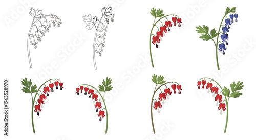 Dutchman’s Breeches Vector Illustration | Woodland Wildflower Botanical Artwork | Unique Spring Flower Design