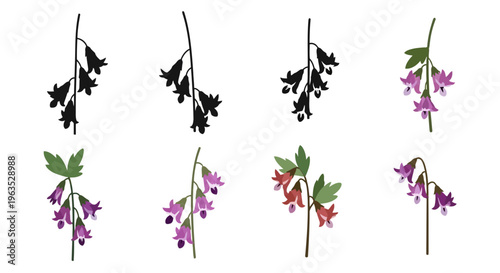 Dutchman’s Breeches Vector Illustration | Woodland Wildflower Botanical Artwork | Unique Spring Flower Design