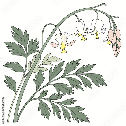 Dutchman’s Breeches Vector Illustration | Woodland Wildflower Botanical Artwork | Unique Spring Flower Design