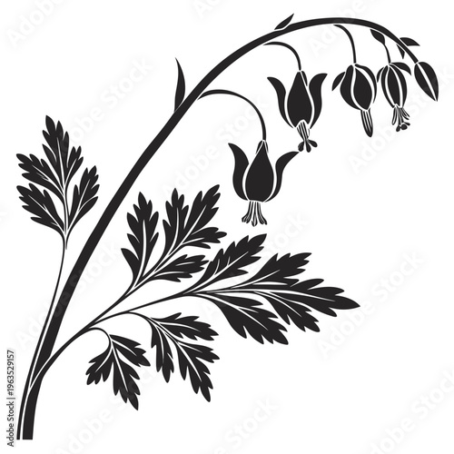 Dutchman’s Breeches Vector Illustration | Woodland Wildflower Botanical Artwork | Unique Spring Flower Design