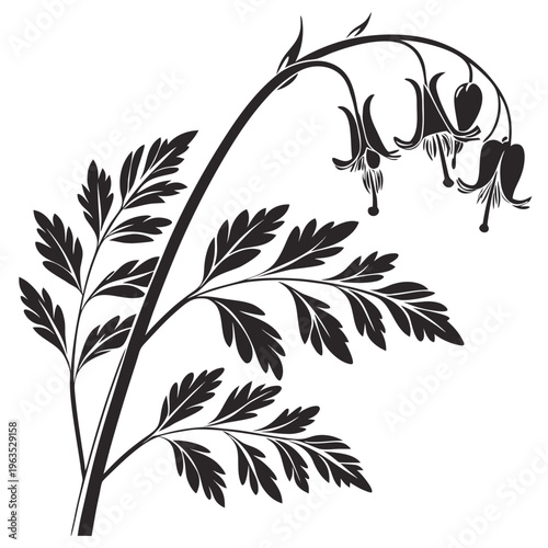 Dutchman’s Breeches Vector Illustration | Woodland Wildflower Botanical Artwork | Unique Spring Flower Design