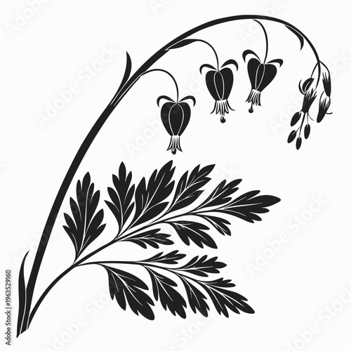 Dutchman’s Breeches Vector Illustration | Woodland Wildflower Botanical Artwork | Unique Spring Flower Design