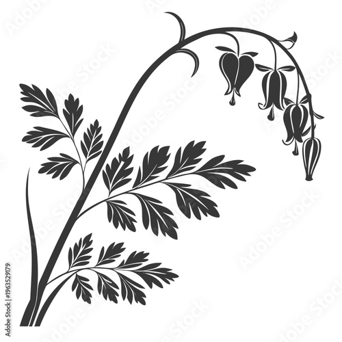 Dutchman’s Breeches Vector Illustration | Woodland Wildflower Botanical Artwork | Unique Spring Flower Design