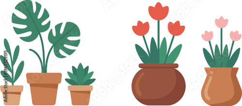 Potted plants and flowers vector illustration set, indoor houseplants and blooming tulips in decorative pots, isolated botanical collection for home decor and garden design