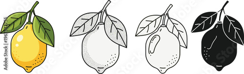 Minimalist lemon illustration set, black and white silhouette, grayscale shading, line art drawing, fruit design collection, vector artwork, modern style