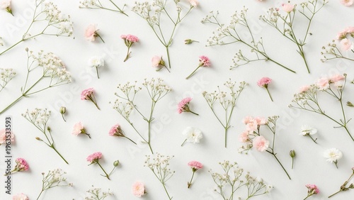 Minimalist floral background language