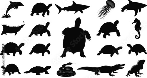 Collection of various sea creatures and reptiles.