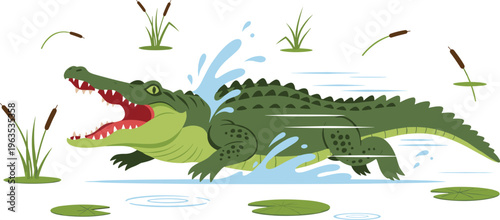 Cartoon Crocodile Vector Illustration Running in Water with Splashing Waves, Lily Pads, and Reeds in Playful Style Isolated on White Background for Wildlife and Kids Design
