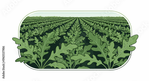 Green arugula field under a hazy sky, bordered by rounded frame