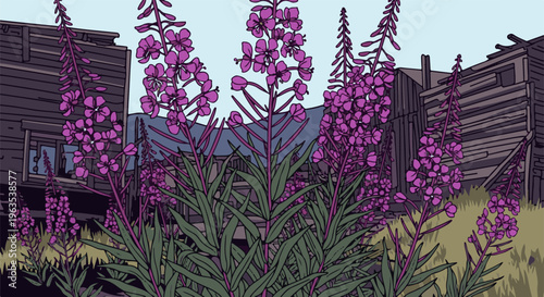 Purple flowering plants grow in front of weathered wooden structures